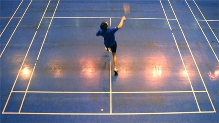 www. badmintonvereniginghardenberg.nl nieuwe site